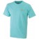 color:mint